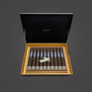 The Salomon Collection